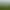 Hintergrundbild beim Kontakt von der Landschaft rund um das Heckenhöfchen
