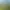 Bild des Guckaisee Nr. 1
