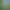 Bild des Guckaisee Nr. 2