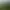 Bild des Guckaisee Nr. 7